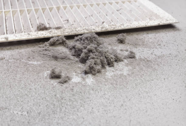 Best HVAC System Cleaning  in Cordele, GA